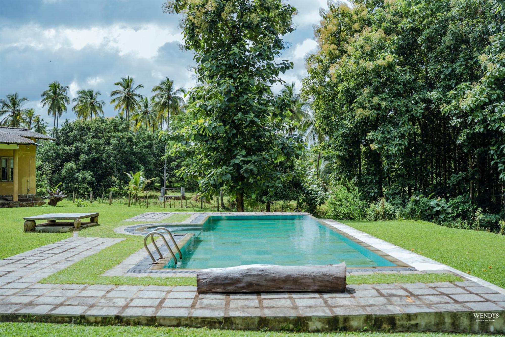 Rivendell Twisted Tree Villa Kurunegala Dış mekan fotoğraf